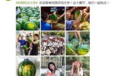 最新大学吃瓜视频,揭秘大学吃瓜视频背后的热点事件
