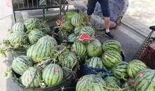 宝坻吃瓜网红事件