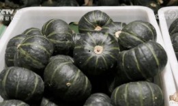 吃瓜菜带的年代