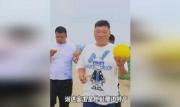 兄弟们吃瓜,揭秘娱乐圈那些不为人知的幕后故事