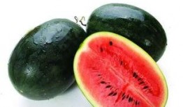 东北垚垚吃瓜,揭秘东北方言中的趣味生活