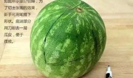 带你吃瓜奇葩萝卜,带你探索“带你吃瓜奇葩萝卜”的独特魅力