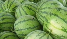 吃瓜买瓜新鲜的瓜小品