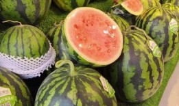 什么瓜能天天吃,揭秘“什么瓜能天天吃”的养生奥秘