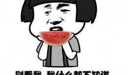 理性吃瓜恶心视频,揭秘网络暴力背后的真相