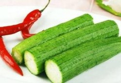 天津网球吃瓜,一场吃瓜群众的狂欢之旅