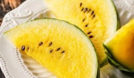 wty吃瓜,网络热议背后的真相与反思