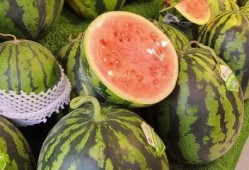 夏日天天吃瓜,天天吃瓜的悠闲时光