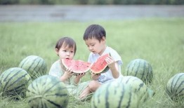吃瓜了吗棉花娃娃,揭秘网红玩具背后的故事