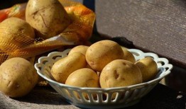 刘大瓜吃土豆,刘大瓜的土豆美食之旅