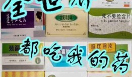 志臻吃瓜小说