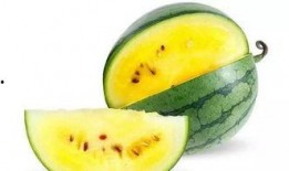 吃瓜模式在哪里,网络热议背后的真相与趣味