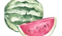 吃瓜得瓜是什么意思,揭秘“吃瓜得瓜”的智慧与乐趣