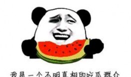 吃瓜群众 老牛,老牛事件背后的真相与反思