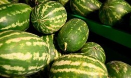 瑞丽边境吃瓜事件,一场引发热议的边境美食风波