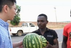 为啥出国吃瓜,揭秘“为啥出国吃瓜”背后的文化现象