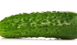 瘦下来的人吃瓜,瘦身达人揭秘瓜类美食的神奇魔力