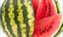 什么瓜能天天吃,揭秘“什么瓜能天天吃”的养生奥秘