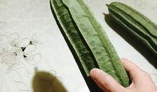 邻居吃瓜,揭秘邻居们的秘密生活