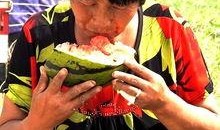 新年吃瓜老太太,揭秘年节里的欢乐与温馨