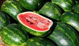 刀小刀吃瓜图片,揭秘娱乐圈幕后风云