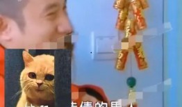 资源咖男星吃瓜,揭秘娱乐圈背后的权力游戏