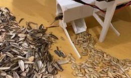 吃瓜去瓜子神器,吃瓜更尽兴——揭秘吃瓜去瓜子神器