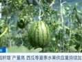汾阳吃瓜群众