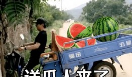 宝宝文案吃瓜,揭秘吃瓜界的甜蜜诱惑