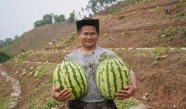 剪瓜吃瓜,夏日消暑新风尚