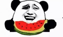 吃瓜群众看恒大,吃瓜群众视角下的恒大风云录