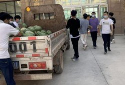 栏杆 吃瓜 同学,同学生活趣事多