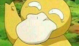 可达鸭吃大瓜,畅享夏日大瓜盛宴