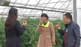 吃瓜群众围观打小三,小三风波引发全民热议